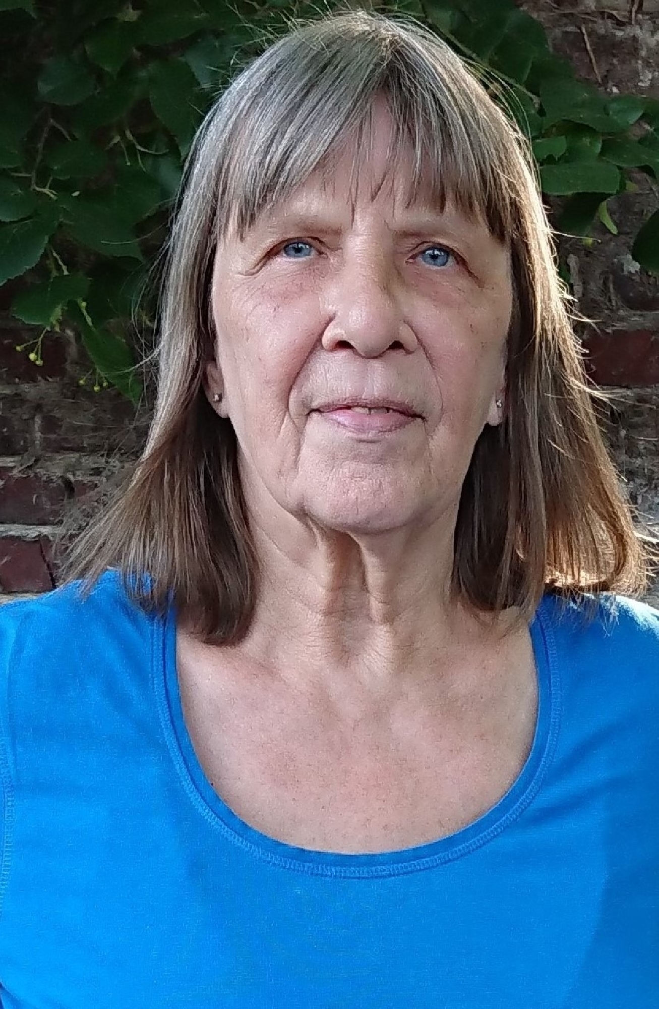 Rein Vandewege